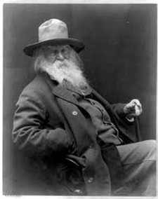Volt Vitman